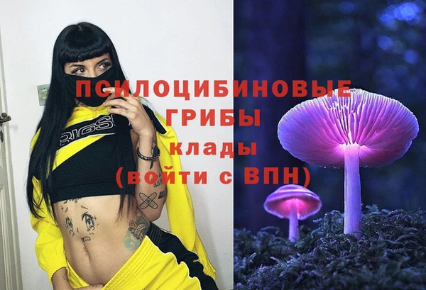 синтетический гашиш Бородино
