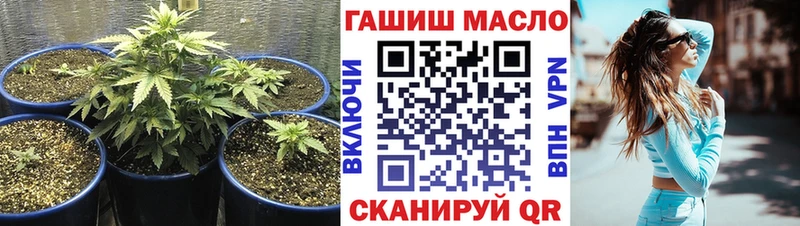где можно купить наркотик  Короча  Дистиллят ТГК концентрат 