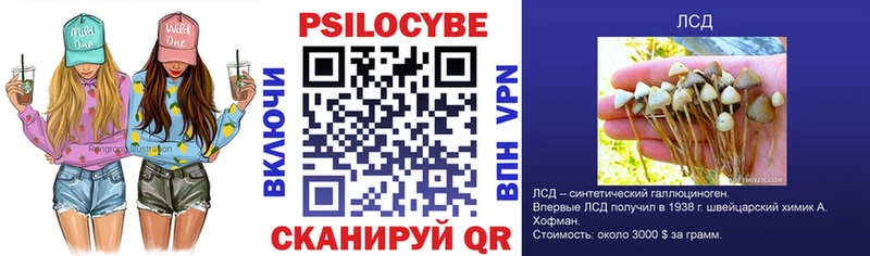 Галлюциногенные грибы Psilocybine cubensis Короча