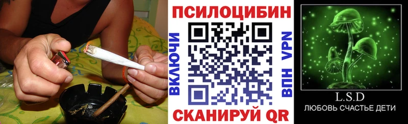 магазин продажи   Короча  Галлюциногенные грибы Cubensis 